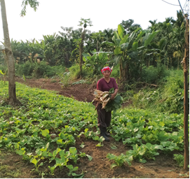 From Subsistence to Sustainability: A Woman-Led Integrated Farming Success Story from Longleng, Nagaland