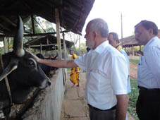 naipnp-02-24-09-2013