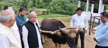 nrcmithun-02-27062022