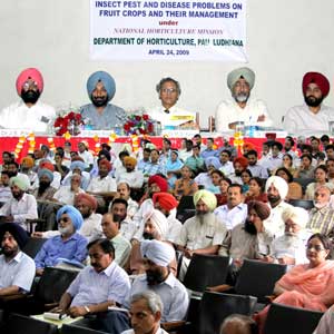 Horticulture Ensures Multiple Gains: Dr. Kang