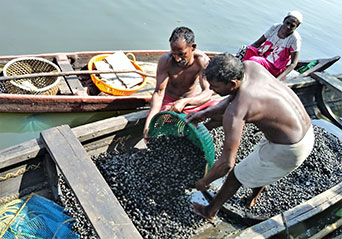 pen-culture-cifri-22-01-2091-2