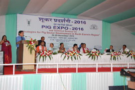 pigexpo-0230112016.jpg