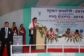 pigexpo-0330112016.jpg