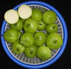 pusa-round-melon.jpg
