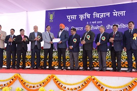 pusakrishi-02-13032019