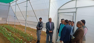 pusakrishi-03-13032019