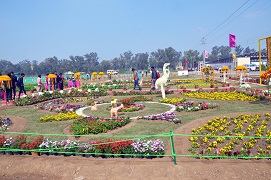 pusakrishimela-04-2019