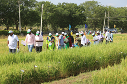 seed-farmers-day-2018-1
