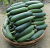 seedless-cucumber-pusa.jpg