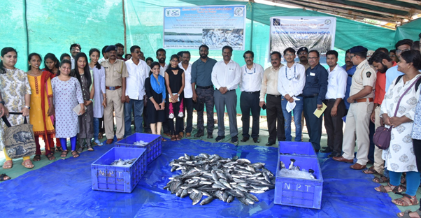 successfulCagefarmingofAsianSeabass-1