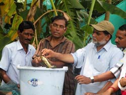 traning-murrel-cifa-23-08-2014-1