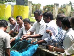 traning-murrel-cifa-23-08-2014-2