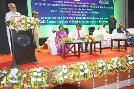 tspodisha-01-20022019