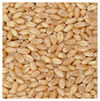 wheat-pusa-kiran-2.jpg